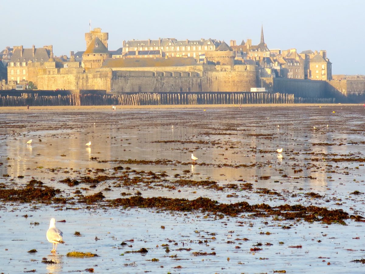 Family Time in Saint-Malo