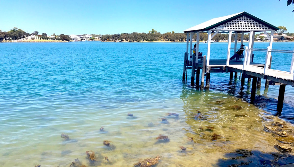 All Aboard for Mandurah!