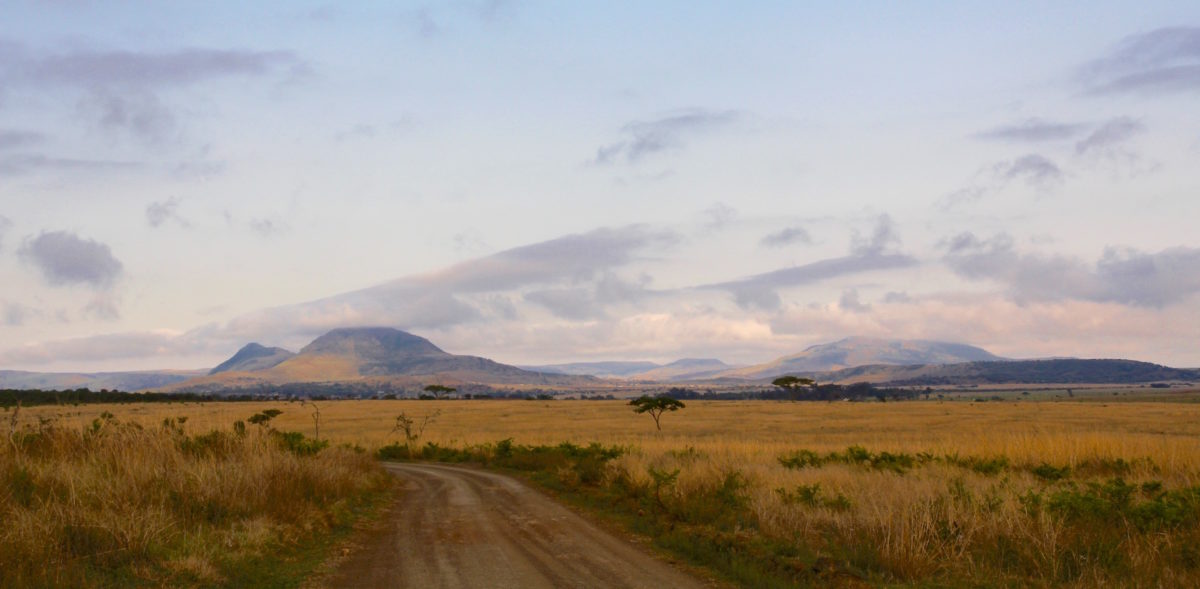 Big 5 Nambiti Game Reserve, 18-21 November 2018